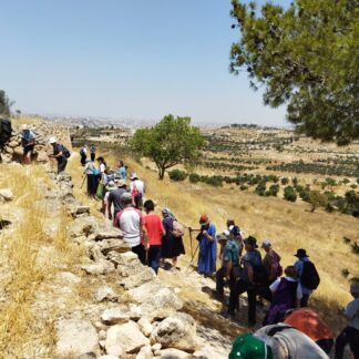 לומדים ומסיירים תשפ"ה- ממלכות יהודה וישראל
